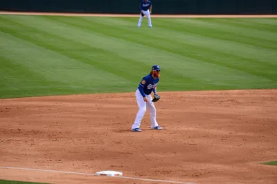 DSC_1533 (Large).JPG